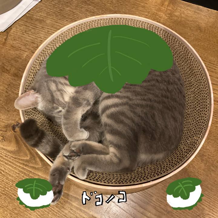 0a66c48e 5a41 4721 83c4 bbfbb3423e09 1749204481082