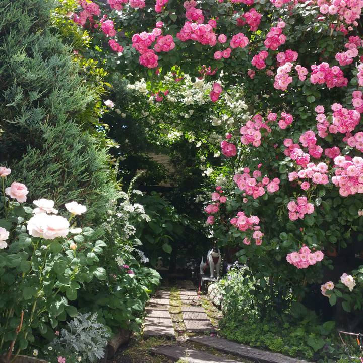 0a66c4e8 0c14 4a8a 93bb 2309843e34bb 1559101404684