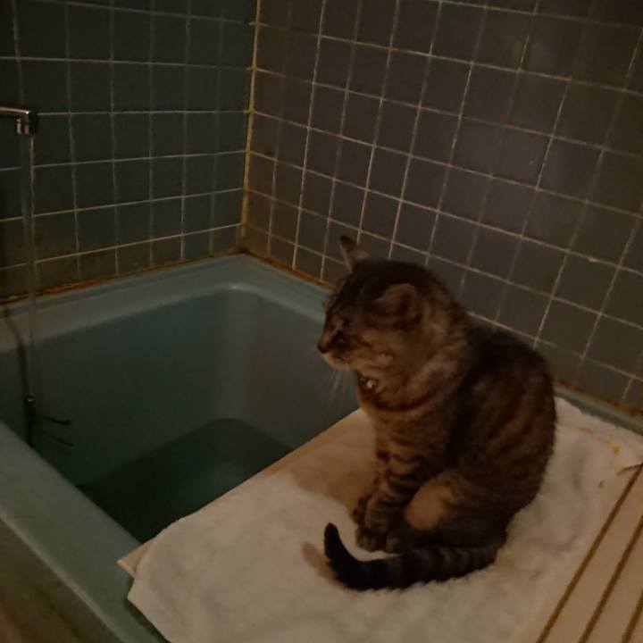 0a66ca8f d23e 4d7b 9c71 a6fa113e0e1e 1569232322778