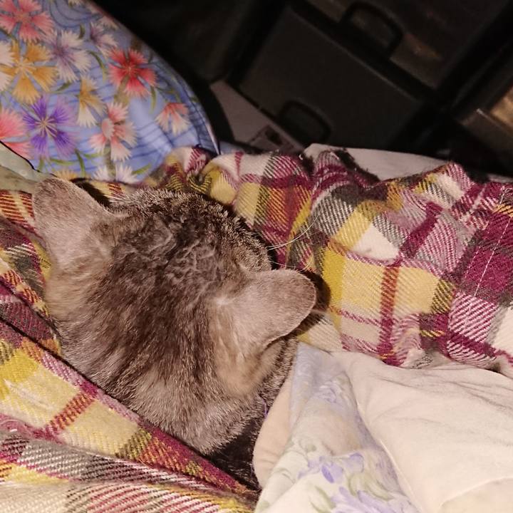 0a66ec64 f551 4019 8d11 4b50c98ec96f 1584111339483