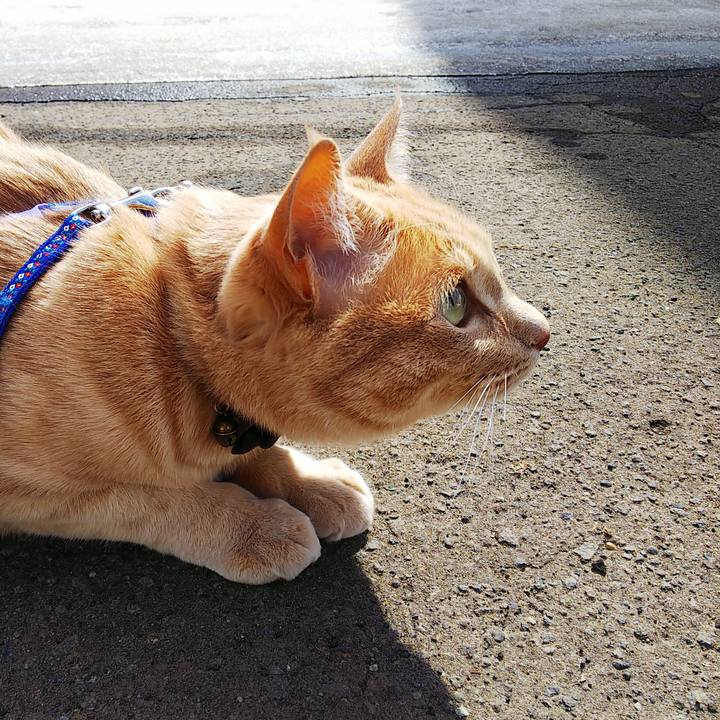 0a66ef65 dfd0 4807 9682 51fb0f387e93 1615947144706