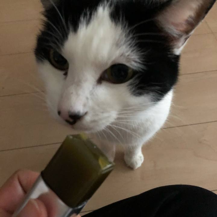 0a66f212 1bd7 4dc1 8de1 2f11e587cd68 1575198824608