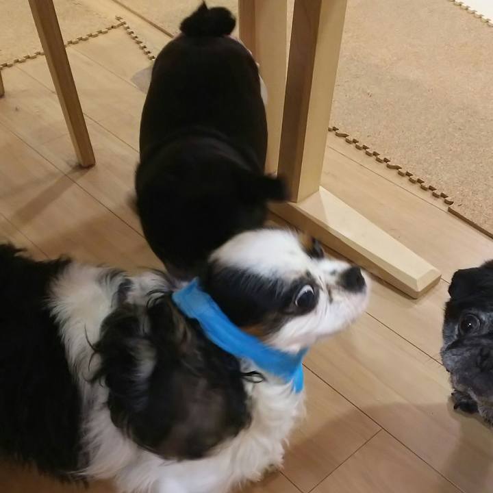 0a66fbda 5447 42ef 894b d7d7188d576c 1531135878612