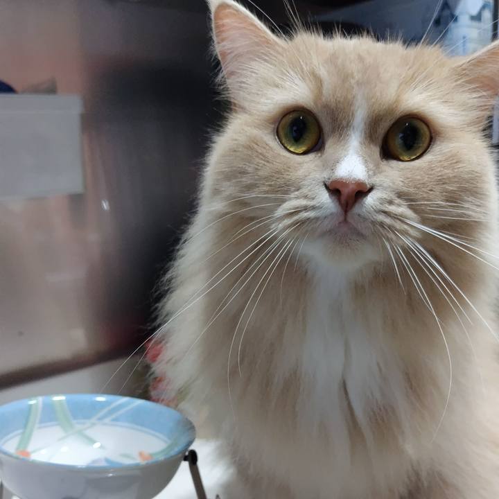 0a670a7c d896 4455 ab1d df4f8d9063ad 1692885201737