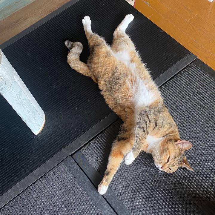 0a674220 028e 4fbb 83bd 698bbb386760 1588646645004