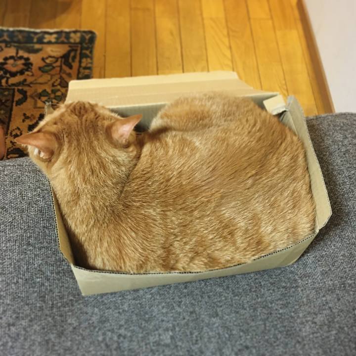 0a6768ac a1e1 4109 8a70 d2ace2f85c63 1627691313015