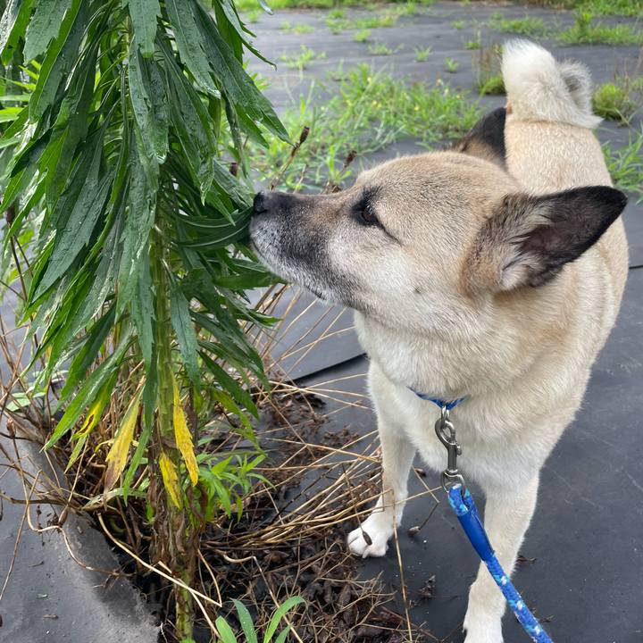 0a677cf8 8381 44d9 9a24 fe0ec44d593f 1688128849556