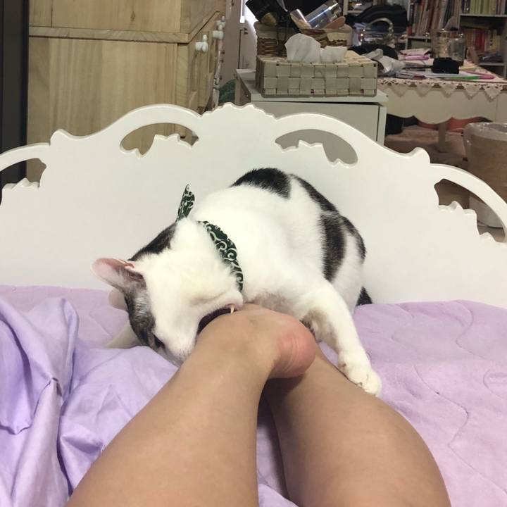 0a67b097 0644 4d37 ac59 857753021210 1535752165648