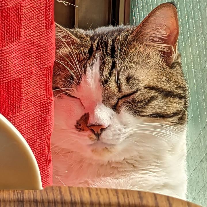 0a67b2f7 97b8 492e a6de 16bfe0781663 1698284457582