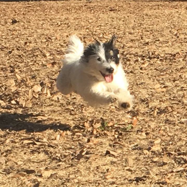 0a67b96e f75a 4f5b 8d37 087184656c5e 1518473139545