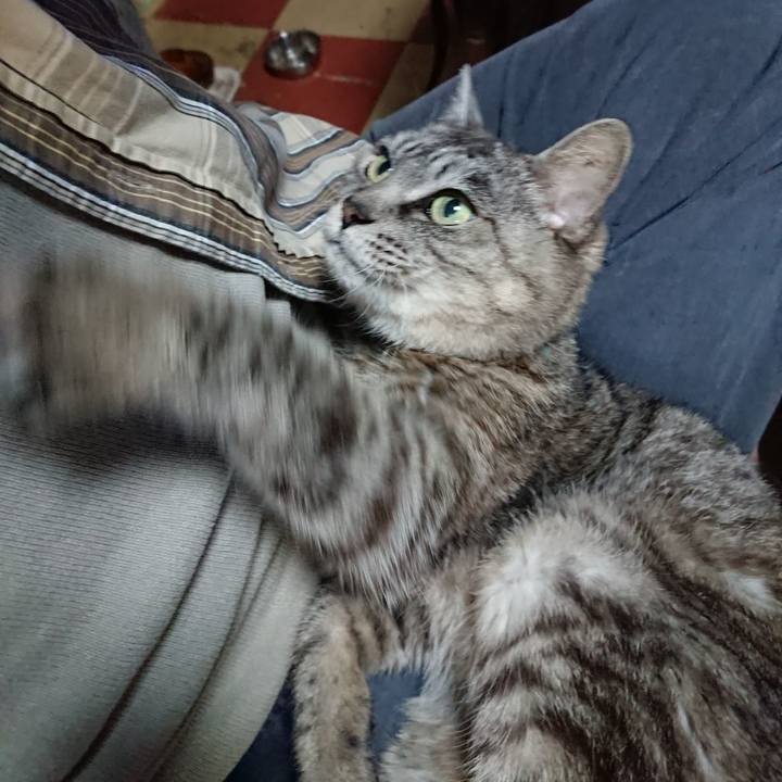 0a67c2f3 27f4 4044 9660 340af0ce17aa 1571034081192