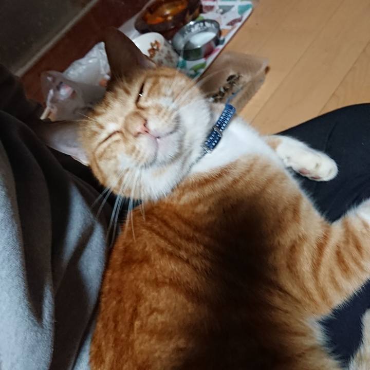 0a67c6bd 1f05 4242 a99c e6886aadf1ec 1602316397243