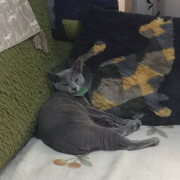 0a67d55f ca23 4aab 853c aa2f96232a45 1512995912274