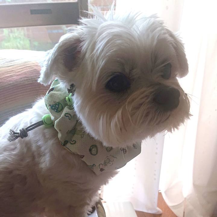 0a680a6f ad0c 47ad 94ef 983bbba2dfe2 1650694862741