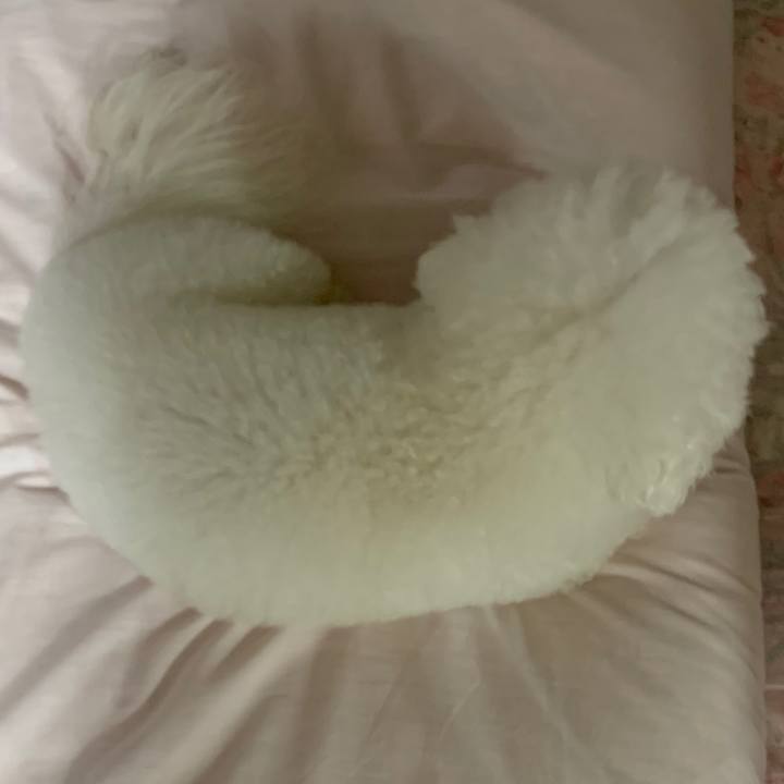 0a6814b2 0a36 4761 94cb 5ed4fb692540 1553003719266