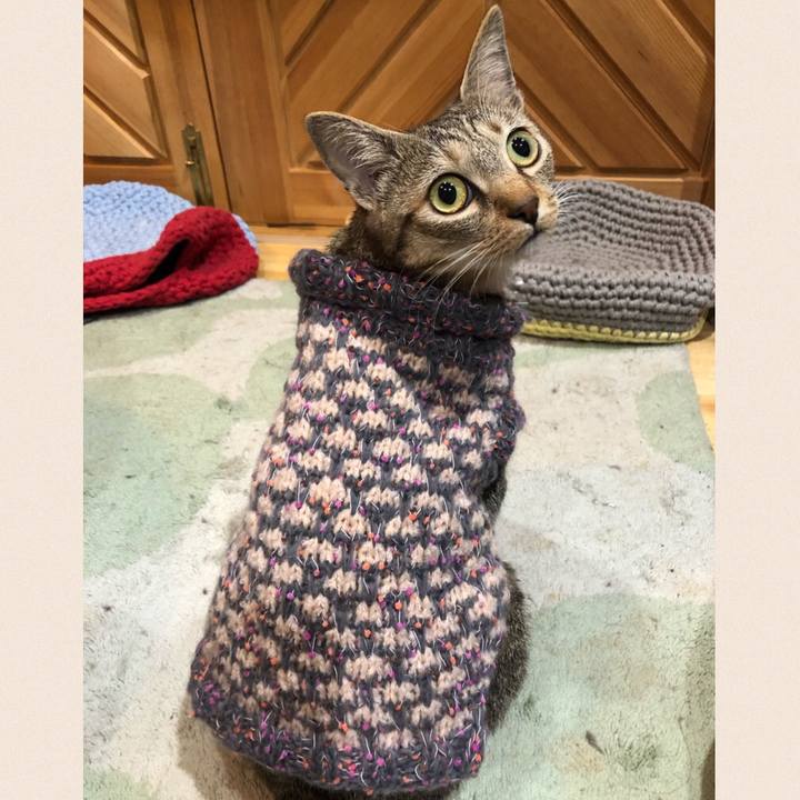 0a686b4b b286 46fc a43c de2c3b3dc28c 1605618297423