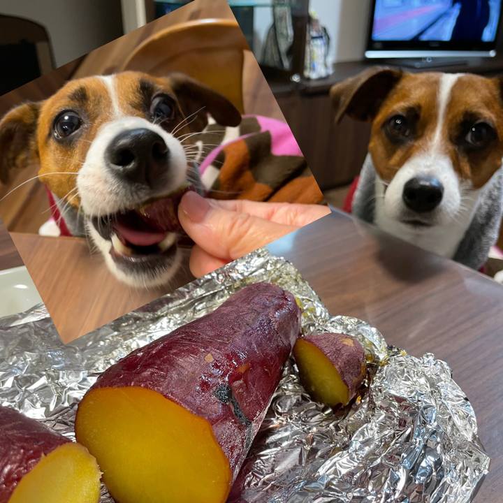 0a688c35 ab70 4829 a7af 14a03429888d 1642926778658