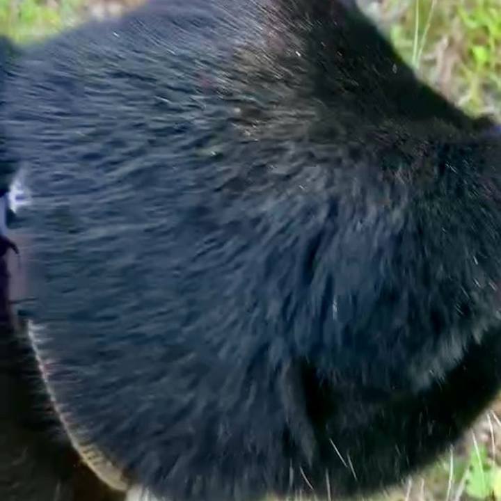 0a6892d1 e3dc 4474 bcbe 6b4369cb5e2d 1731570200578