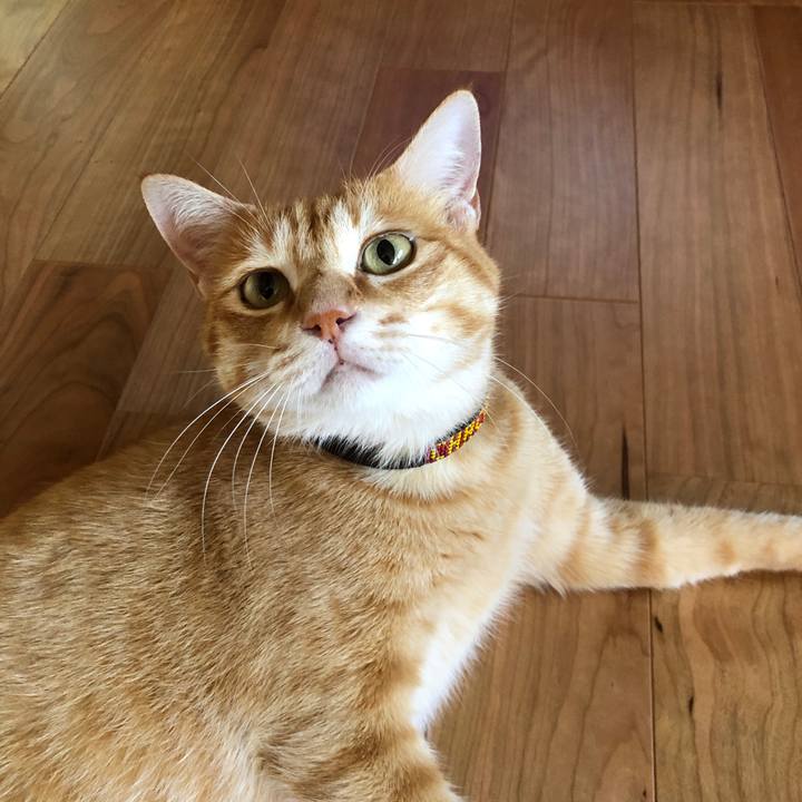 0a6897ad 3b51 4b1f 86dd 665eb483e293 1626681469501