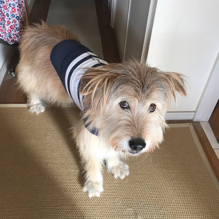 0a689a02 a9d8 4492 b659 6da0dce11647 1552949280580