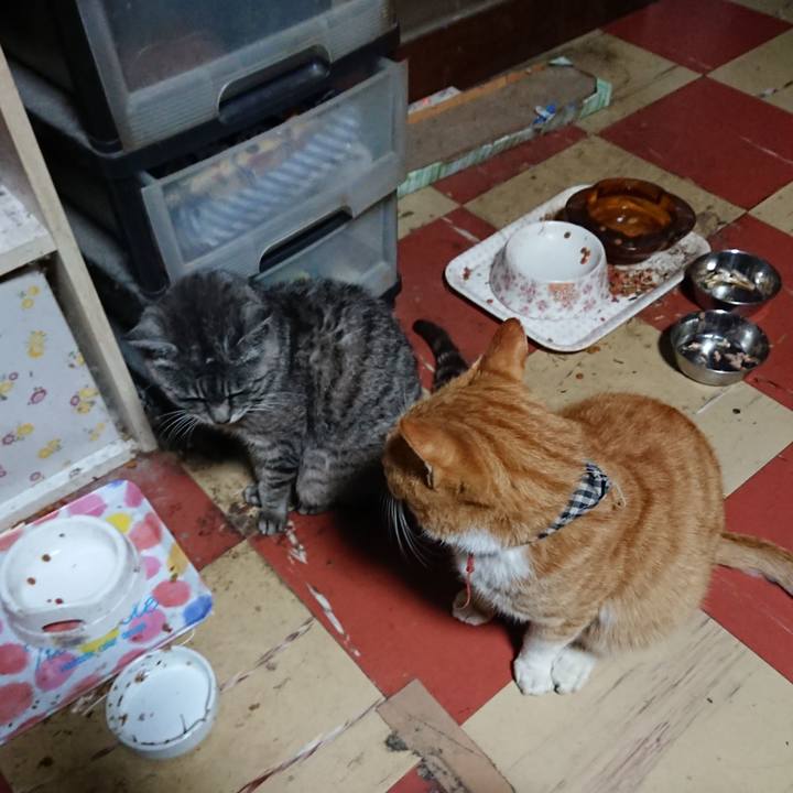 0a68aade 0781 4554 801a 163e5f69cb59 1571947127063