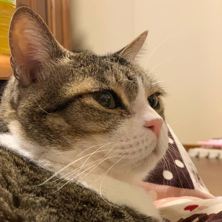 0a68b762 52b3 4849 945d 48b94038ffb0 1671347121536