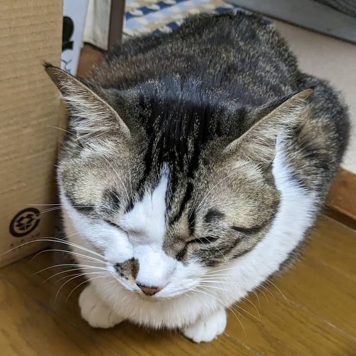 0a68bd0f fbf8 47dd 99db e0d8074ff938 1674991323409