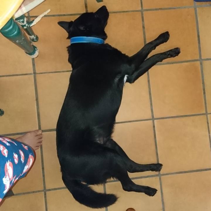 0a68ca53 9944 442d b341 e1b7e7f70b1e 1531781715229