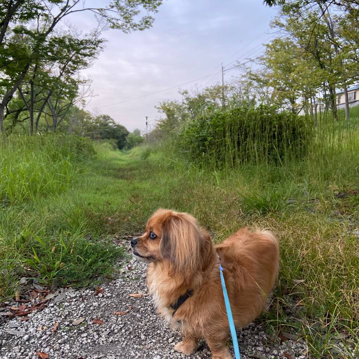 0a68ced2 1e2b 4ae6 ba3f 8fe83cb4457e 1600899467368