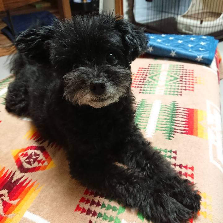 0a693e92 627d 4a98 b9ad d1d0512a25b5 1598715317491