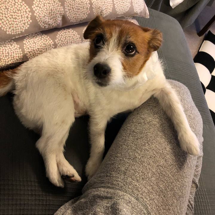 0a6962e3 e30e 4ccb 9253 e20389f55c54 1589800691483