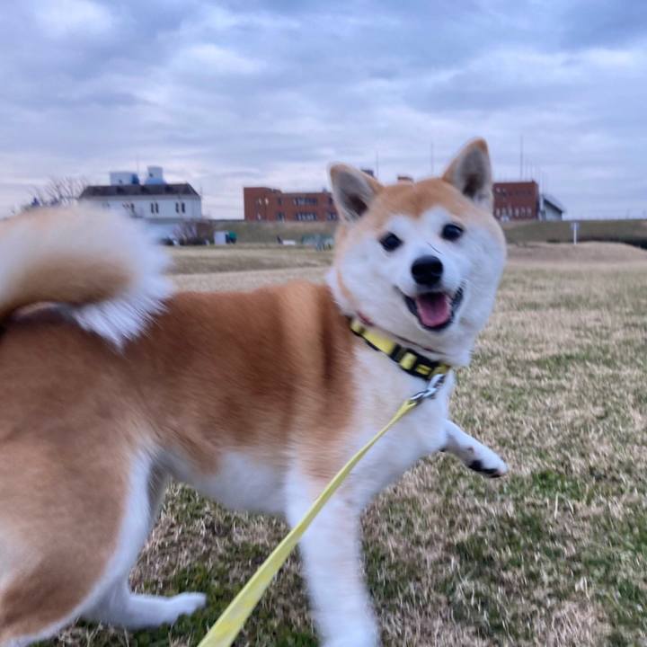 0a696ec3 8646 44b6 91b0 b1ebcf622ff9 1643172185299