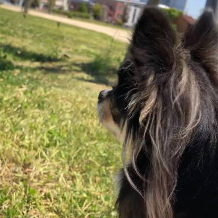 0a697a44 2335 47e9 a757 2194d7446ecb 1589421222907