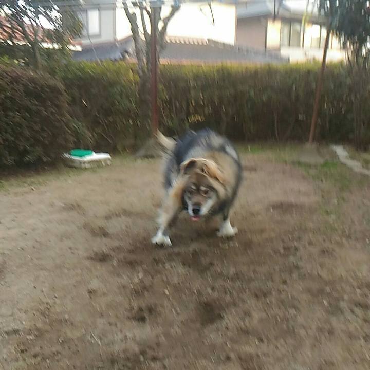 0a6a3217 8335 4149 b950 e786264328d9 1518338502209