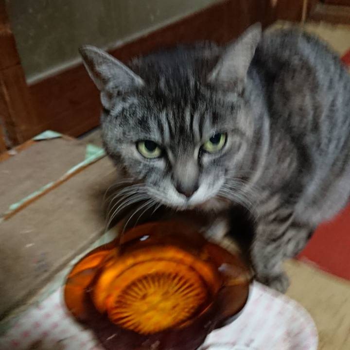 0a6a4bab 9e74 49a2 b9a4 d51b7ebd26fa 1551432780459