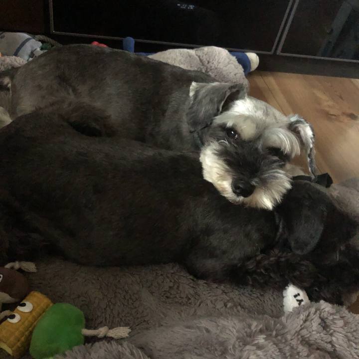 0a6b27dc c156 4f1b b64d b3fbb42ba324 1568774858733