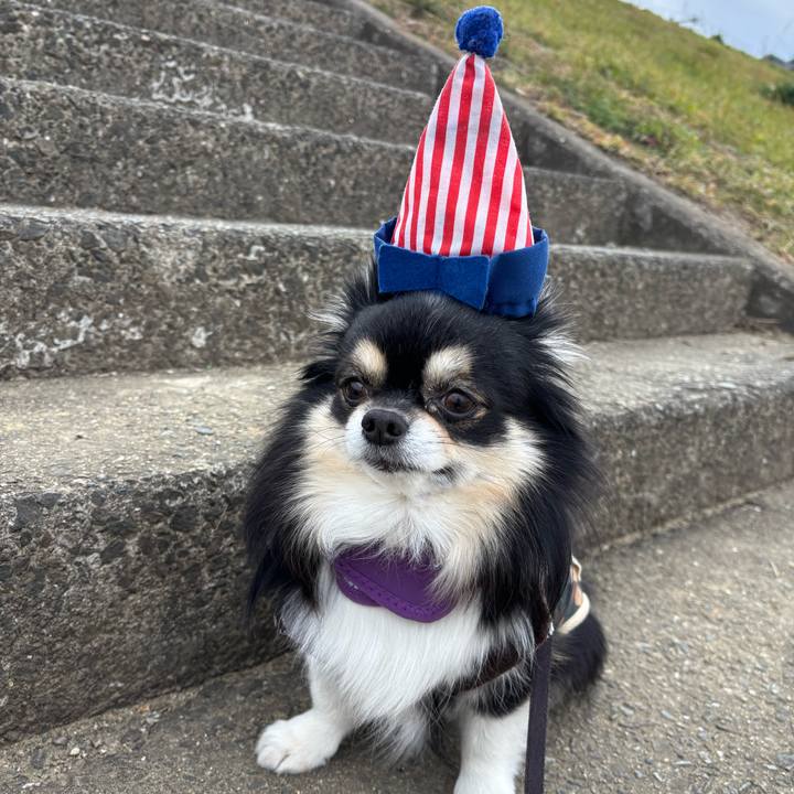 0a6b7490 d0b6 4c59 846e 1c77ef2b5eea 1758857990649