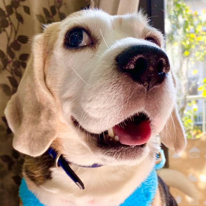 0a6b79a2 d8a8 46f9 b581 a09b75eaa793 1610599871151