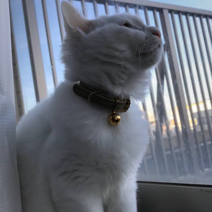 0a6b8e34 640f 4c48 86b6 372d01467db2 1509767003770