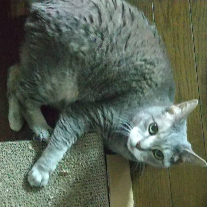 0a6b9a49 23a2 47e1 82a6 30b413aa46f4 1653253892344