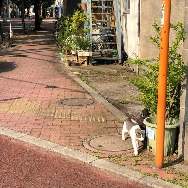 0a6ba530 5cea 4f2a af91 beb366a3745d 1529942797415