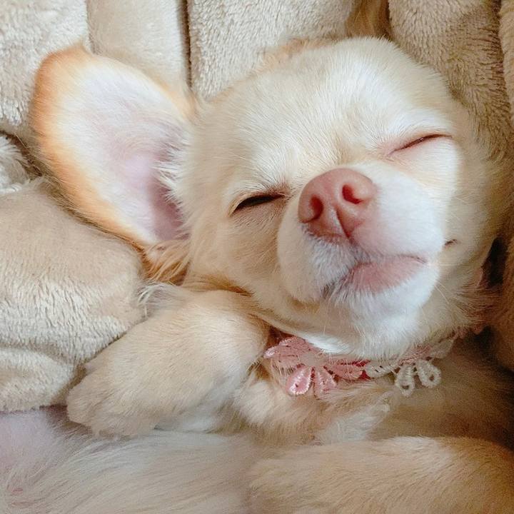 0a6ba85d 66f9 467e b4b0 ab0cdebd5813 1614314013982