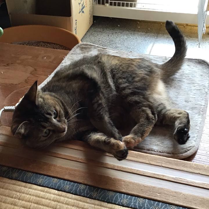 0a6bb1bd 808a 429d 9959 bd55b0d32f57 1647831144560