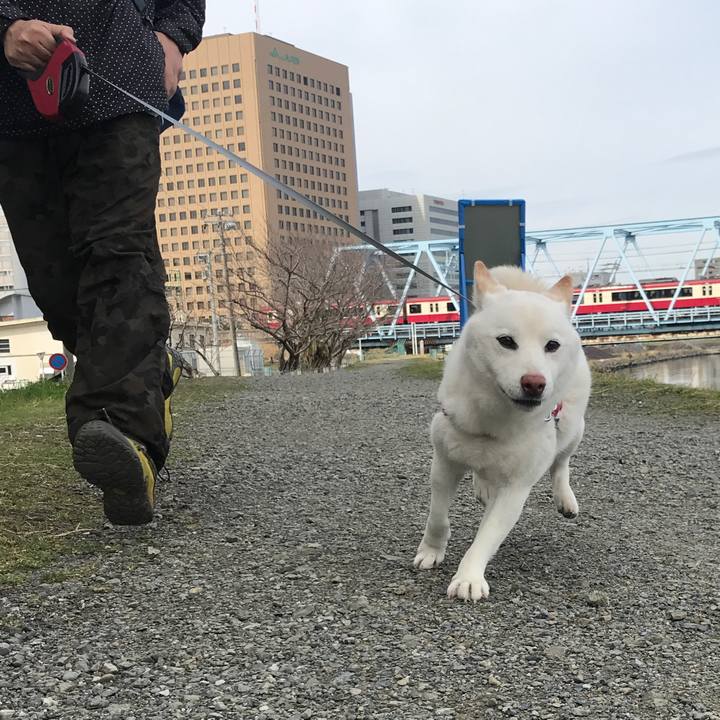 0a6c009e f904 489e 9577 a3dece81e916 1552180698999