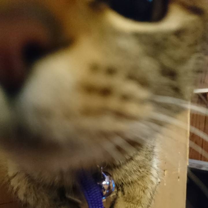 0a6c0bb4 6d95 4259 a7d0 71033f0c3bc3 1551475767010