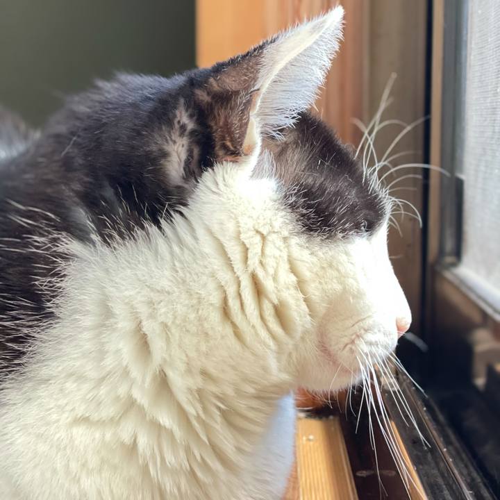 0a6c24ea 15b7 484c a85f c7d3f6444e22 1618626353110