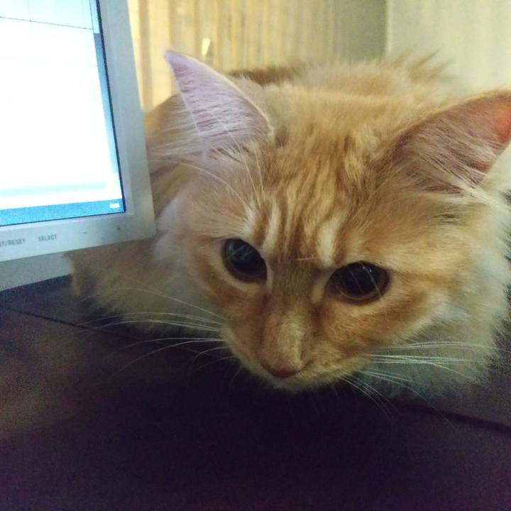 0a6c78b2 93d1 4837 80f9 5fe1b94d87d2 1649925024343