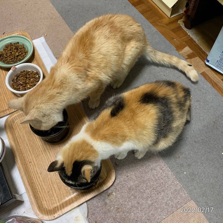 0a6c8ef5 d0ec 40b8 83b1 9b13b4339318 1645102883017