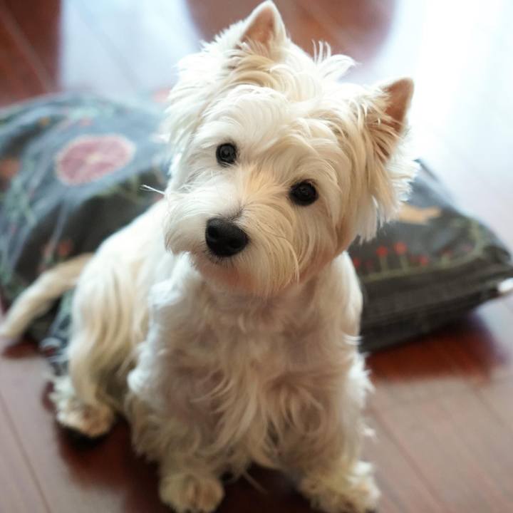 0a6c9549 fa6e 447d 837e b330f70d697d 1514819830576