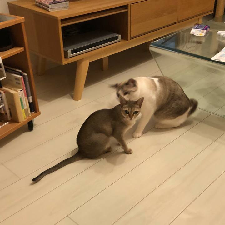 0a6ccf00 aff9 47bc ba37 c7f457940bfc 1534598080895